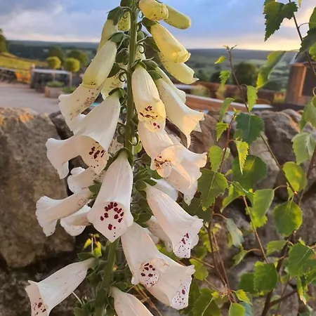 Howgill Farm Bolton Abbey 山林小屋 阿普崔威克