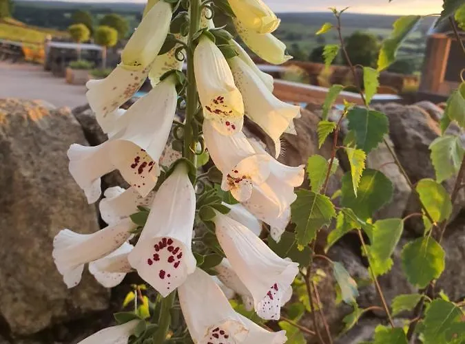 Howgill Farm Bolton Abbey Lodge Appletreewick